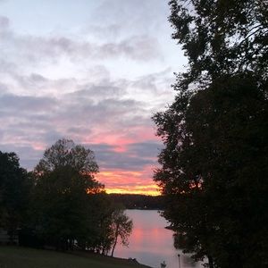 Meet your Posher, Dusty